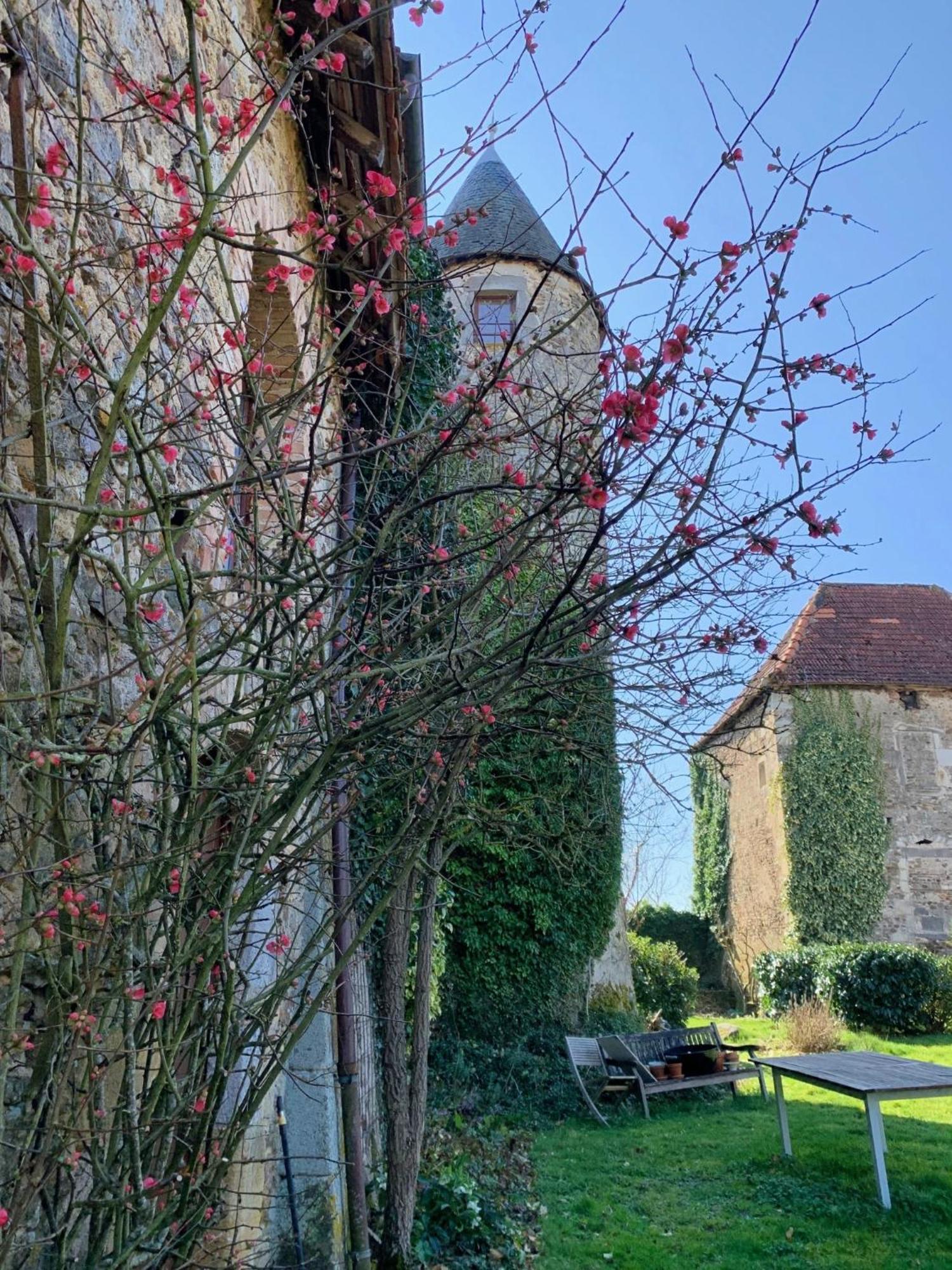 Chateau Mareuil