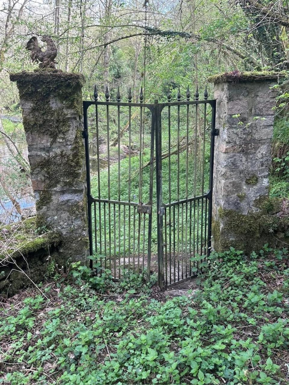 Chateau Mareuil Couette-café Brigueuil-le-Chantre
